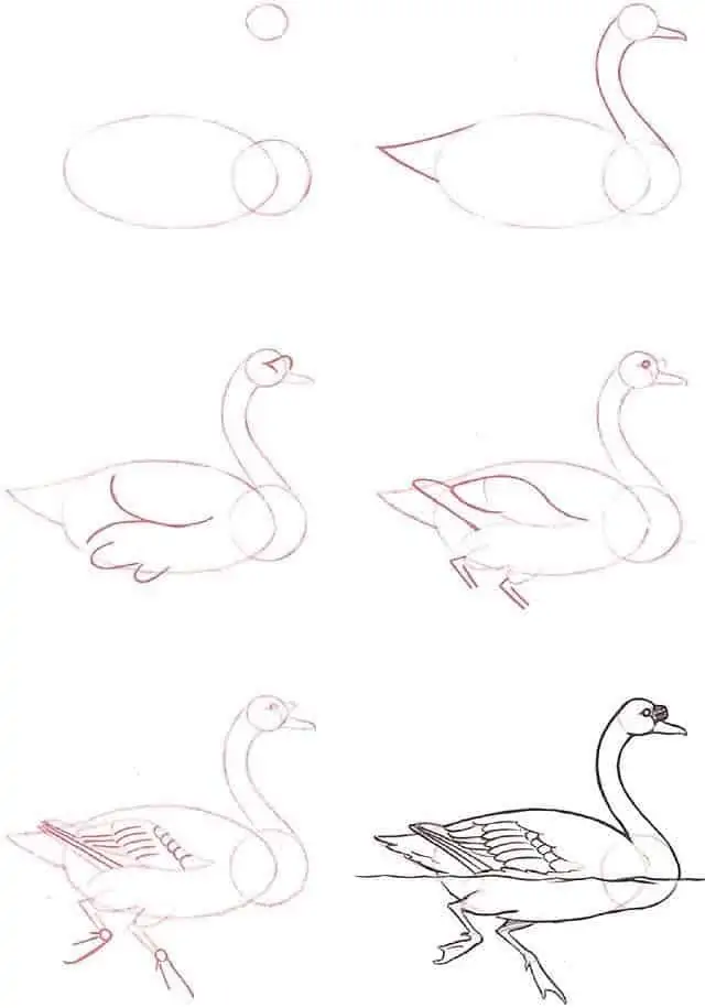 50 idées de dessins d'animaux faciles à faire 37 50 idées de dessins d'animaux faciles à faire 37