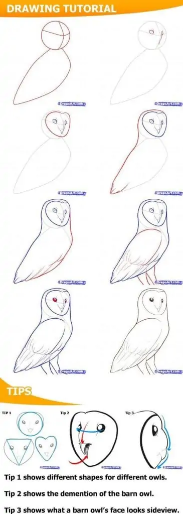 50 idées de dessins d'animaux faciles à faire 38 50 idées de dessins d'animaux faciles à faire 38