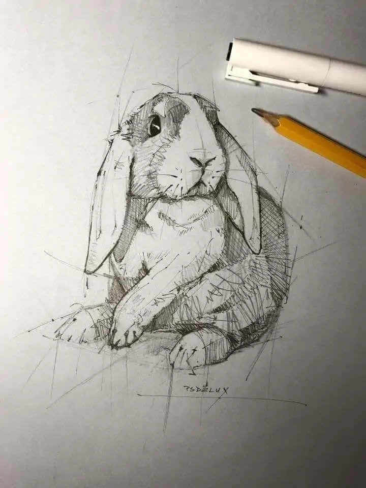 50 idées de dessins d'animaux faciles à faire 40