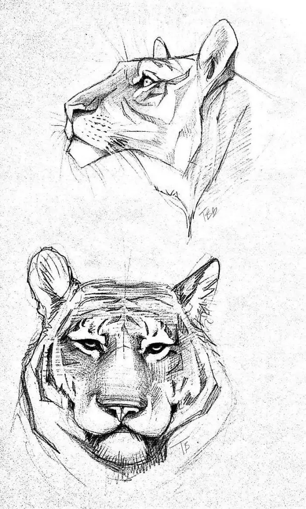 50 idées de dessins d'animaux faciles à faire 42 50 idées de dessins d'animaux faciles à faire 42