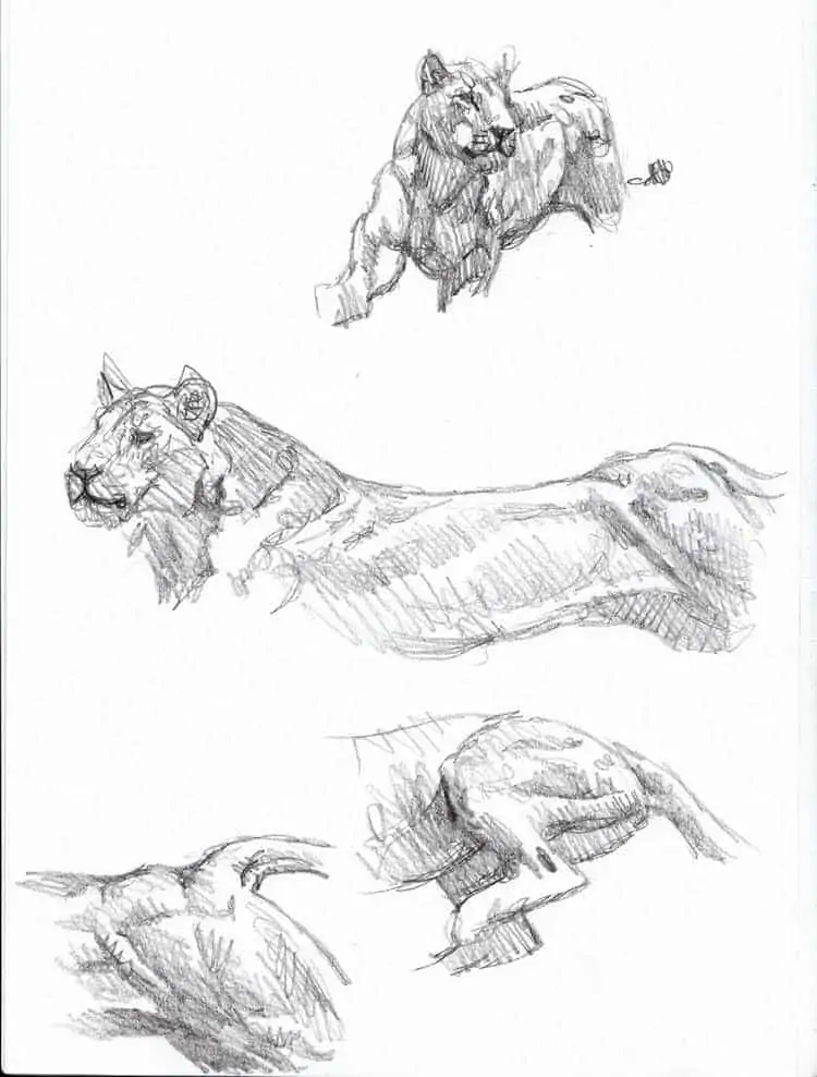 50 idées de dessins d'animaux faciles à faire 43 50 idées de dessins d'animaux faciles à faire 43
