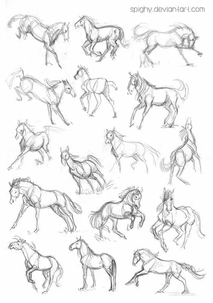 50 idées de dessins d'animaux faciles à faire 44 50 idées de dessins d'animaux faciles à faire 44