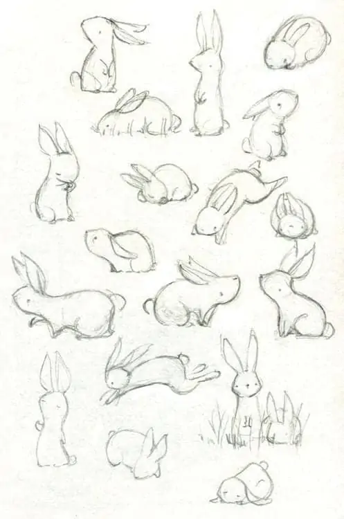 50 idées de dessins d'animaux faciles à faire 45