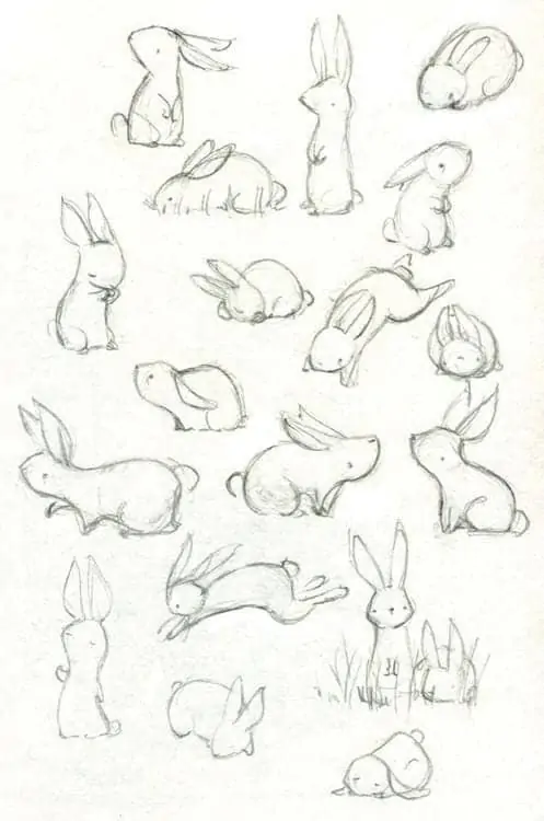 50 idées de dessins d'animaux faciles à faire 45 50 idées de dessins d'animaux faciles à faire 45