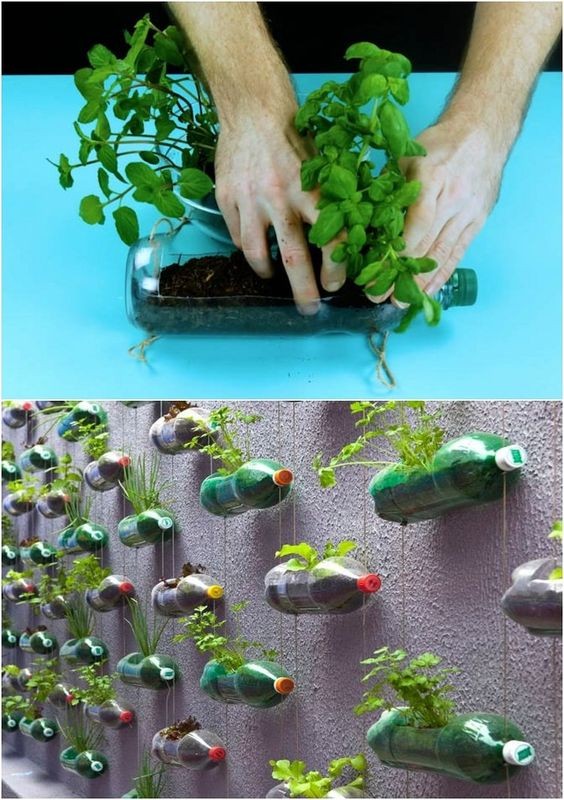 13 Bricolages avec des bouteilles en plastique vide 1