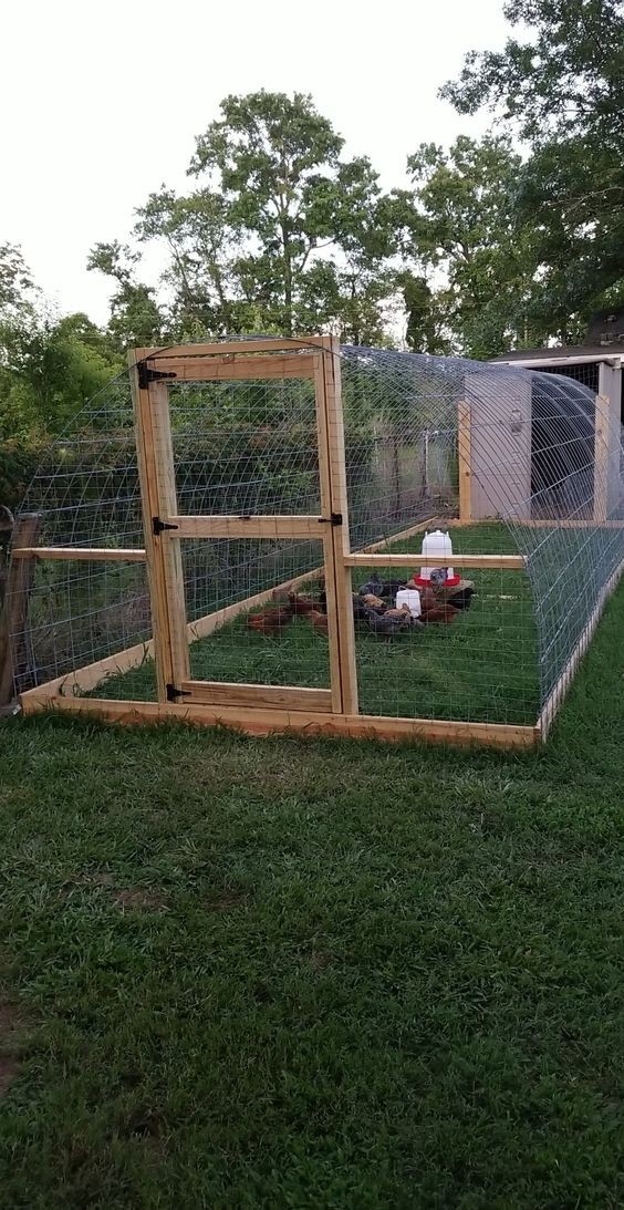 14 idées pour avoir des poules dans son jardin 8