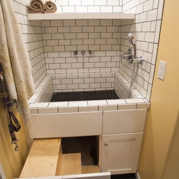 10 maisons avec des designs conçus pour votre animal 5 10 maisons avec des designs conçus pour votre animal 5