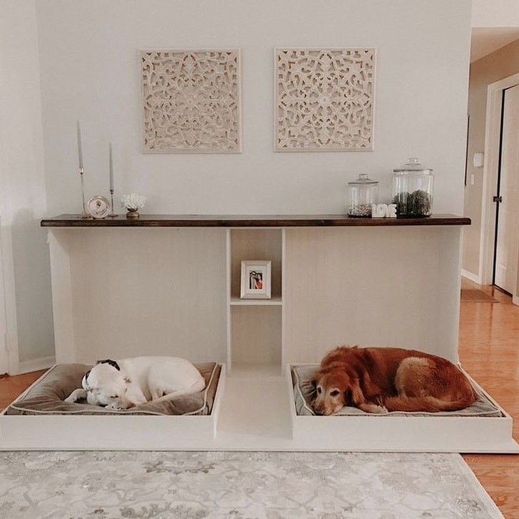 10 maisons avec des designs conçus pour votre animal 8 10 maisons avec des designs conçus pour votre animal 8