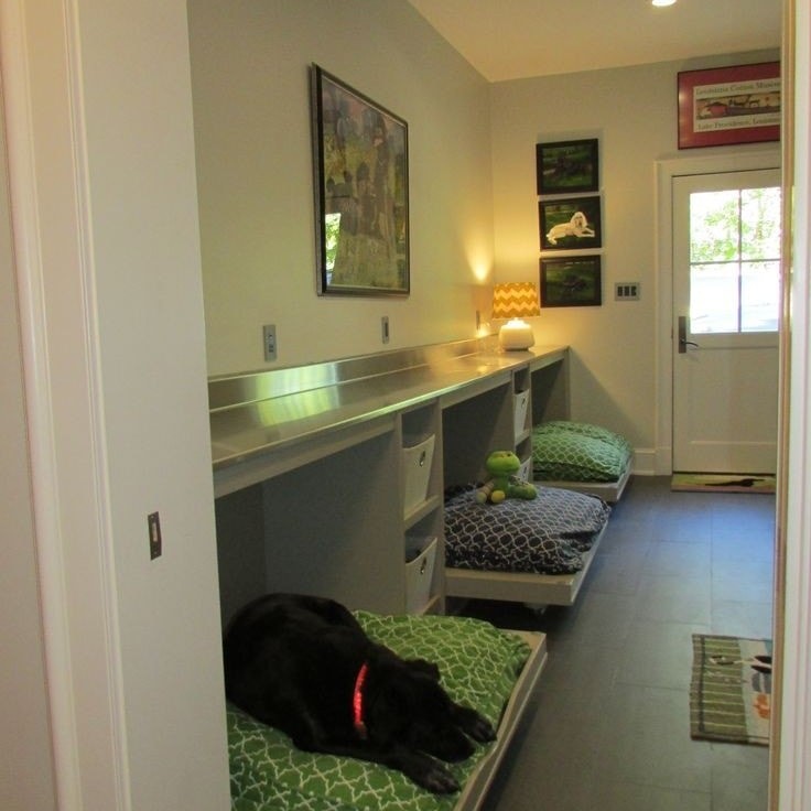 10 maisons avec des designs conçus pour votre animal 9 10 maisons avec des designs conçus pour votre animal 9