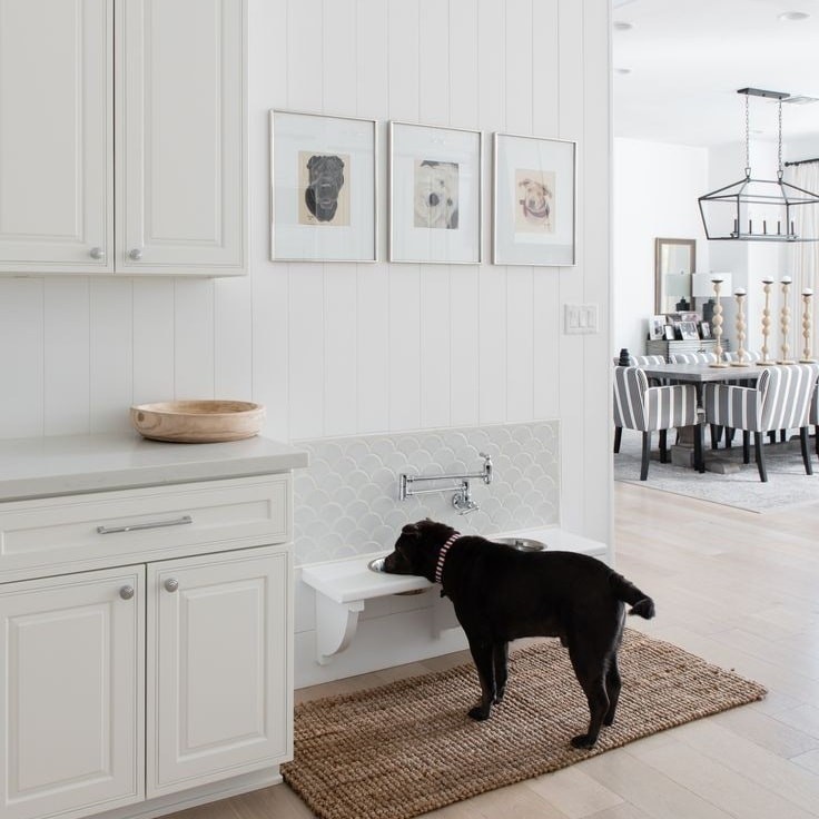 10 maisons avec des designs conçus pour votre animal 10 10 maisons avec des designs conçus pour votre animal 10