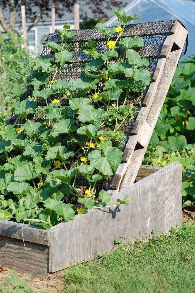 21 idées géniales pour le jardin 13