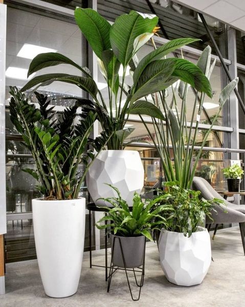 25 belles idées pour les petites plantes en pot 2 25 belles idées pour les petites plantes en pot 2