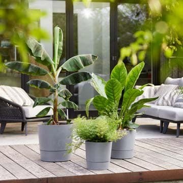 25 belles idées pour les petites plantes en pot 4 25 belles idées pour les petites plantes en pot 4