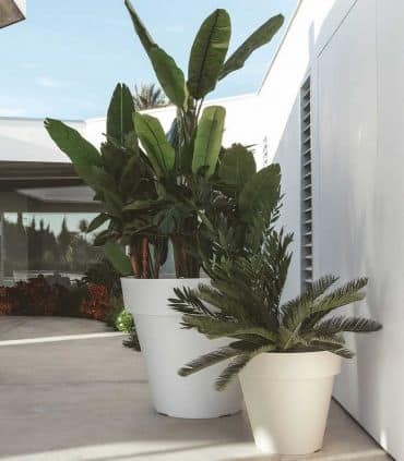 25 belles idées pour les petites plantes en pot 7 25 belles idées pour les petites plantes en pot 7