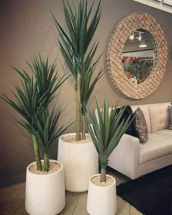 22 idées pour purifier et décorer l'intérieur de votre maison avec des pots de fleurs 7