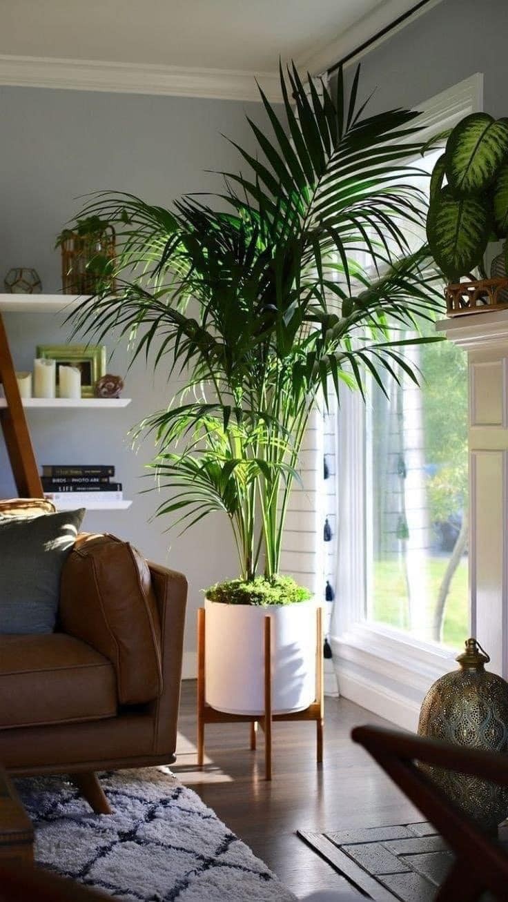 22 idées pour purifier et décorer l'intérieur de votre maison avec des pots de fleurs 10