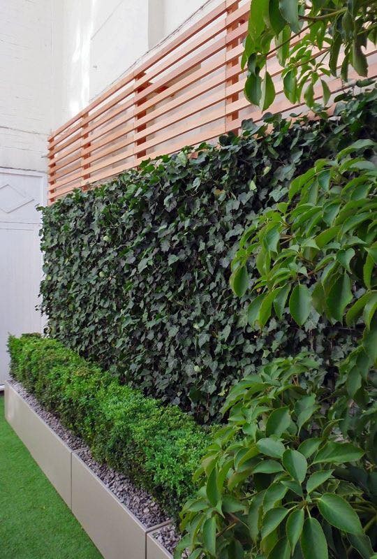 35 Clôtures décorées de petits jardins qui apportent de la vitalité à votre maison 29 35 Clôtures décorées de petits jardins qui apportent de la vitalité à votre maison 29