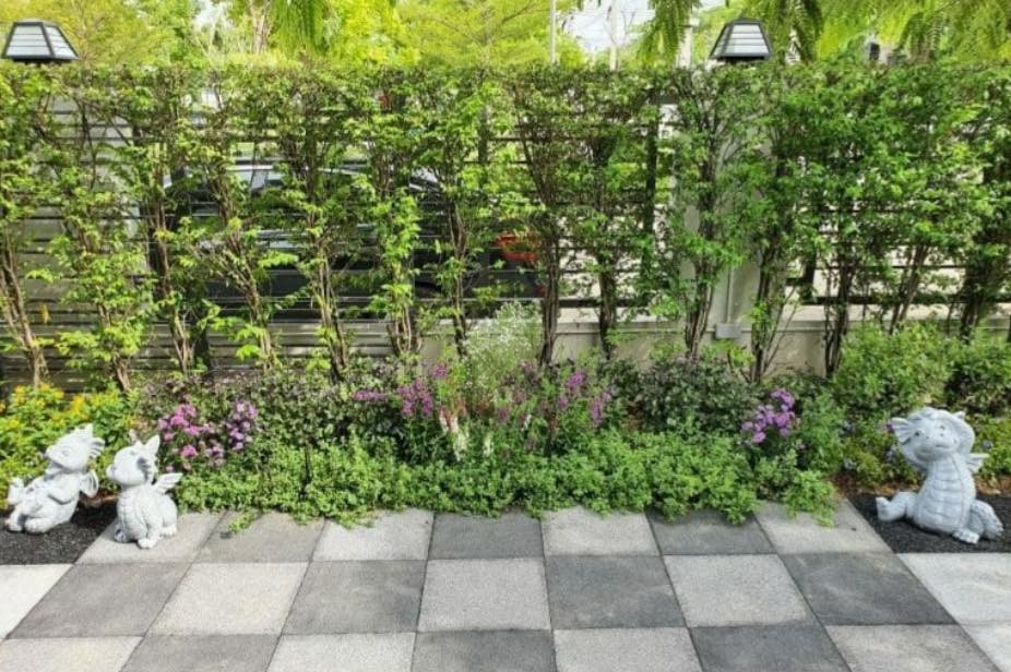 35 Clôtures décorées de petits jardins qui apportent de la vitalité à votre maison 18