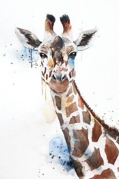 35 animaux à l'aquarelle pour apprendre à peindre des animaux 20