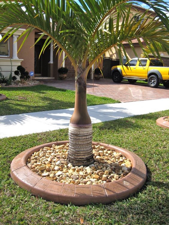 77 idées pour vous inspirer pour choisir le style parfait pour votre jardin 49 77 idées pour vous inspirer pour choisir le style parfait pour votre jardin 49