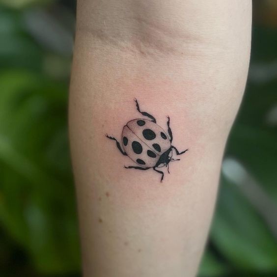 9 Top idées de Tatouages Coccinelle 23