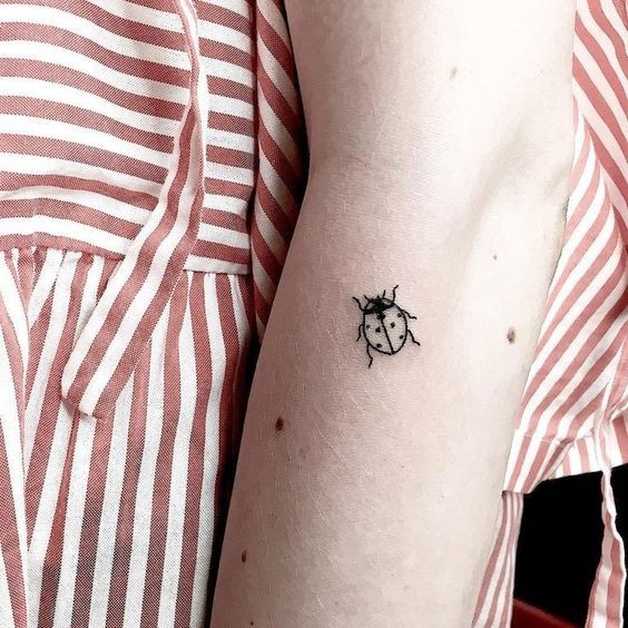 9 Top idées de Tatouages Coccinelle 29