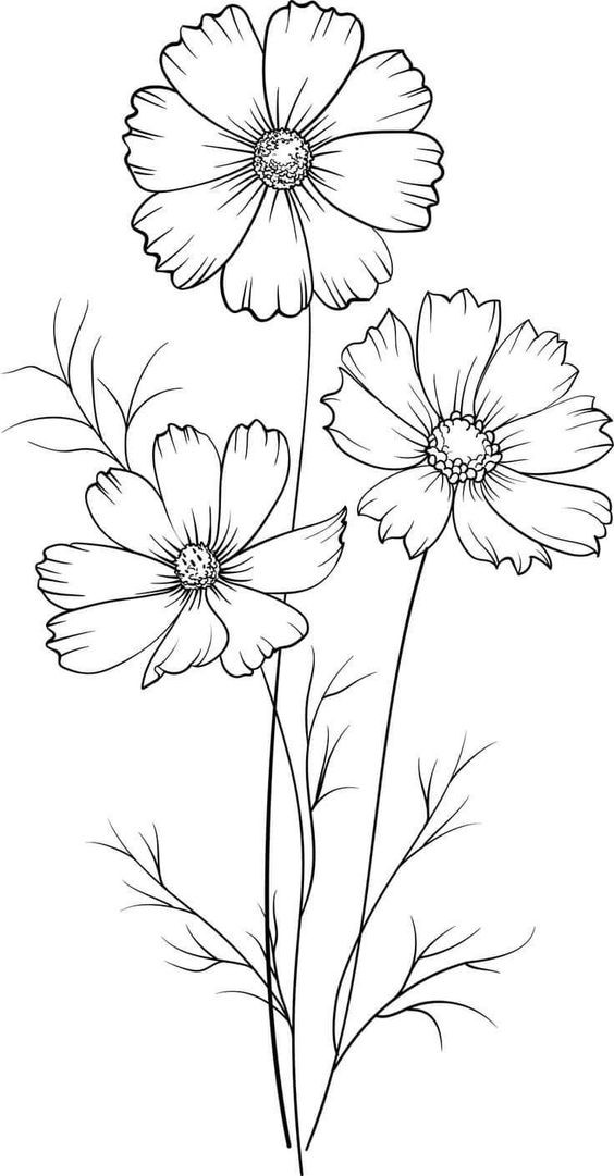 Dessin de fleur : 29 Idées faciles pour apprendre à dessiner des fleurs 11