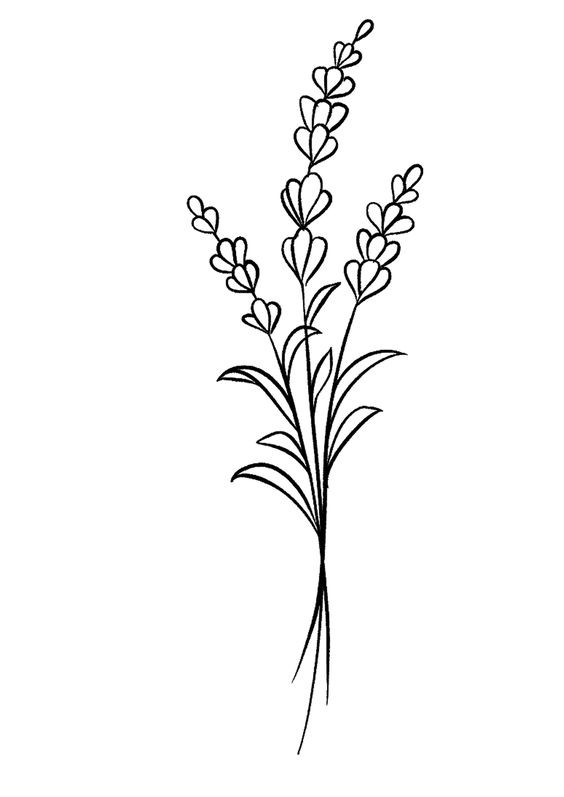 Dessin de fleur : 29 Idées faciles pour apprendre à dessiner des fleurs 13