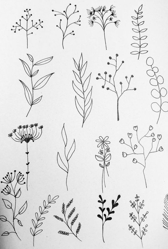 Dessin de fleur : 29 Idées faciles pour apprendre à dessiner des fleurs 14