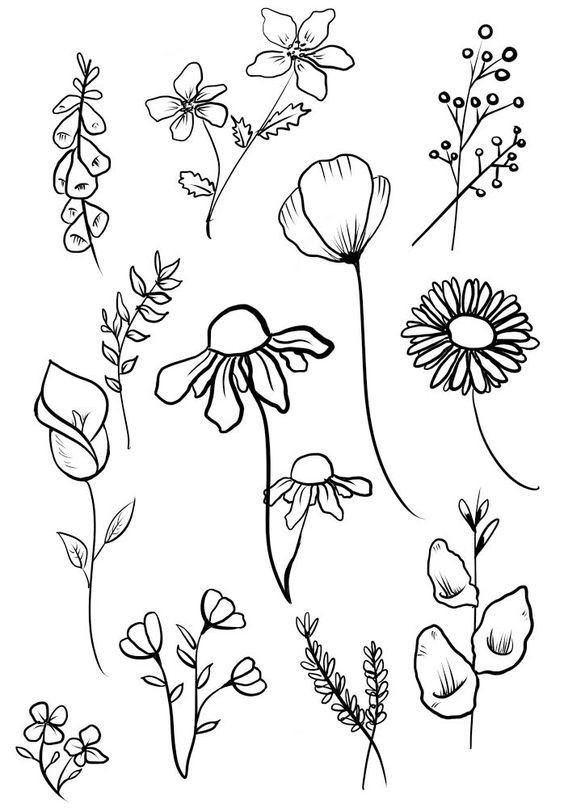 Dessin de fleur : 29 Idées faciles pour apprendre à dessiner des fleurs 15