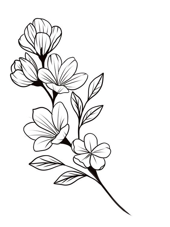 Dessin de fleur : 29 Idées faciles pour apprendre à dessiner des fleurs 18