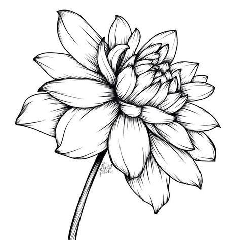Dessin de fleur : 29 Idées faciles pour apprendre à dessiner des fleurs 23