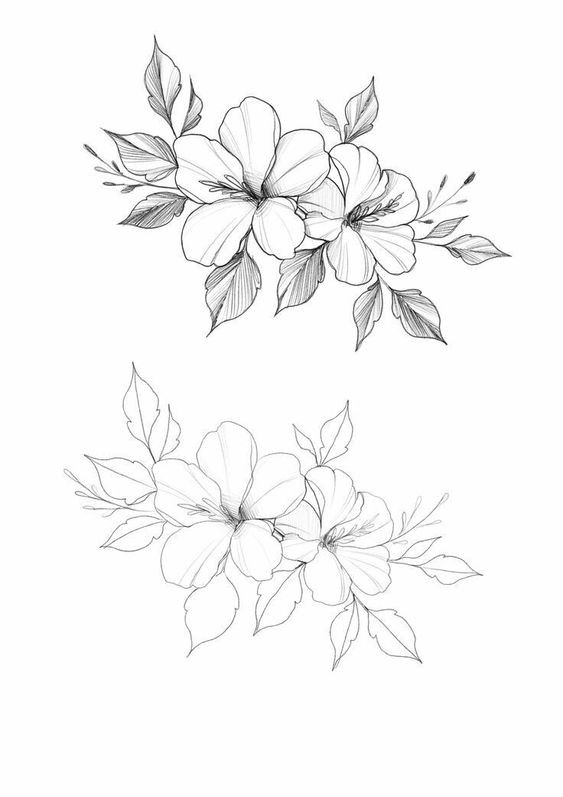 Dessin de fleur : 29 Idées faciles pour apprendre à dessiner des fleurs 27