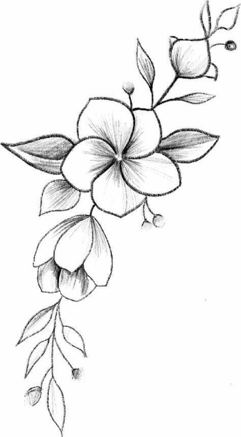 Dessin de fleur : 29 Idées faciles pour apprendre à dessiner des fleurs 5