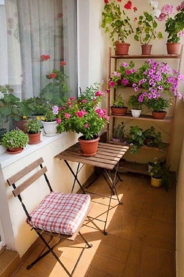27 idées pour décorer votre jardin avec des plantes 5