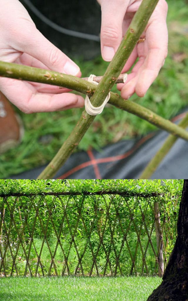 how to create Living Willow Fence & Garden Structures