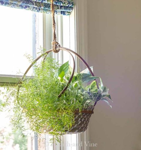 hanging planters basket