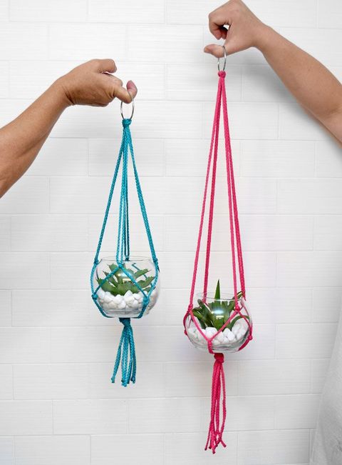 hanging planters succulent macrame