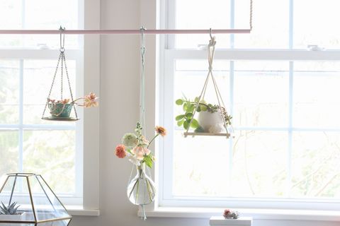 hanging planters plant bar