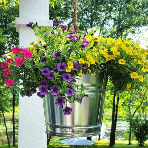 hanging planters bucket