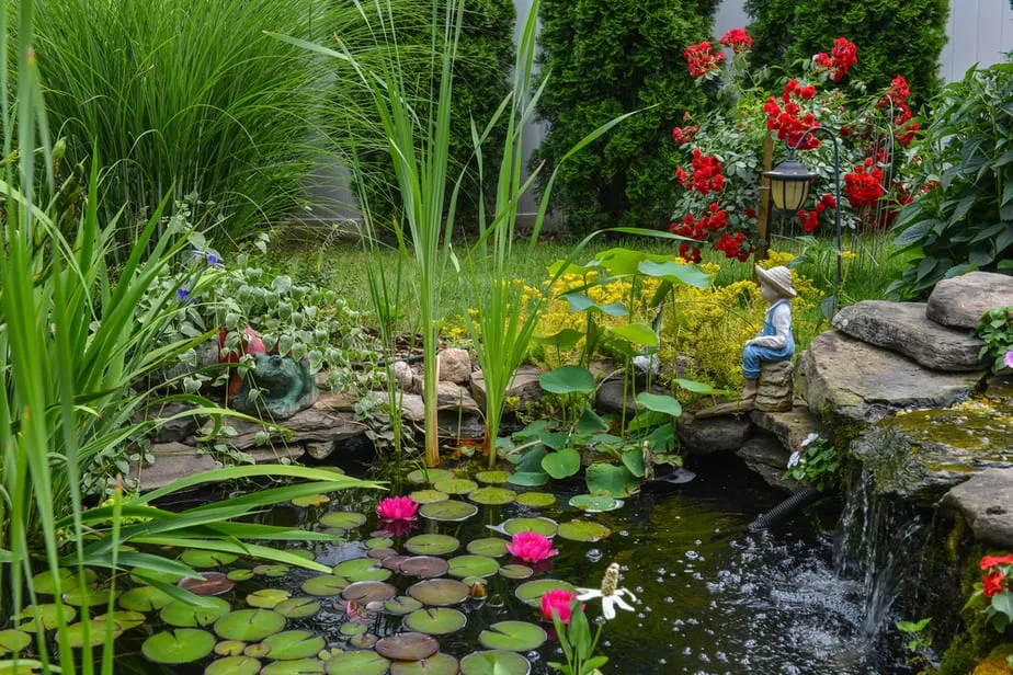 29 meilleures idées de jardins d'eau : étangs, cascades et fontaines 1