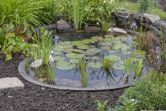 29 meilleures idées de jardins d'eau : étangs, cascades et fontaines 5 29 meilleures idées de jardins d'eau : étangs, cascades et fontaines 5