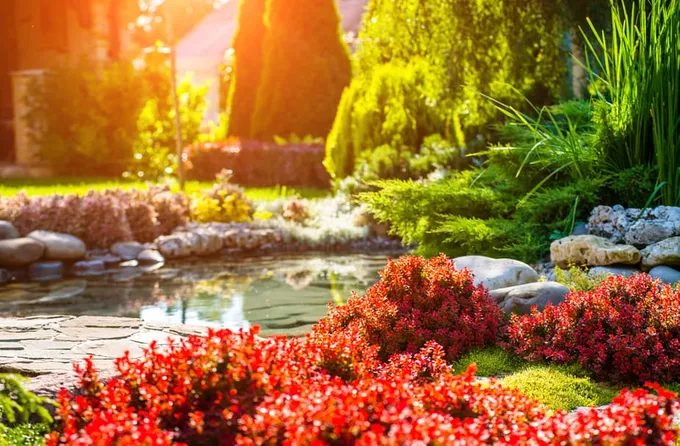 29 meilleures idées de jardins d'eau : étangs, cascades et fontaines 6