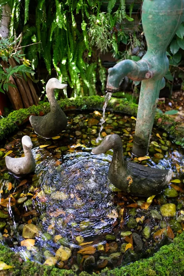 29 meilleures idées de jardins d'eau : étangs, cascades et fontaines 16