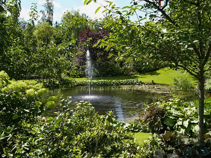 29 meilleures idées de jardins d'eau : étangs, cascades et fontaines 21