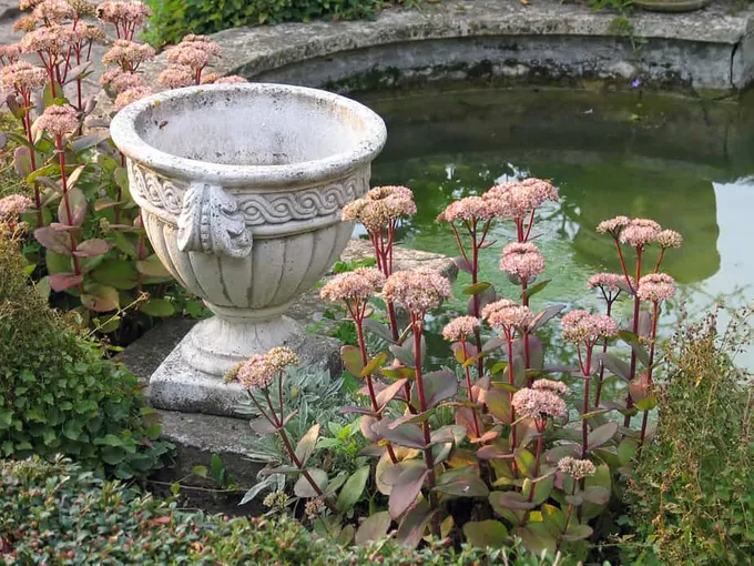 29 meilleures idées de jardins d'eau : étangs, cascades et fontaines 28