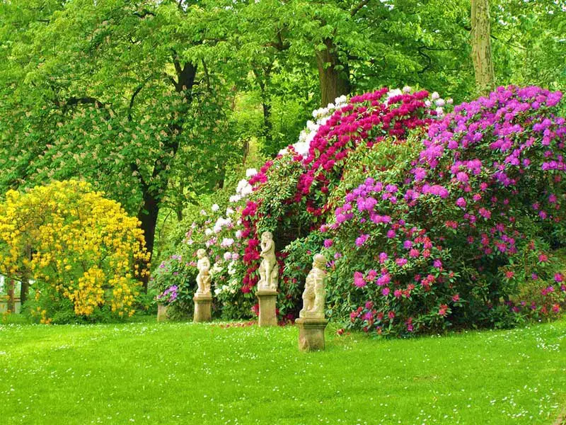 61 idées de jardins super cool dans l'arrière-cour 2 garden statues