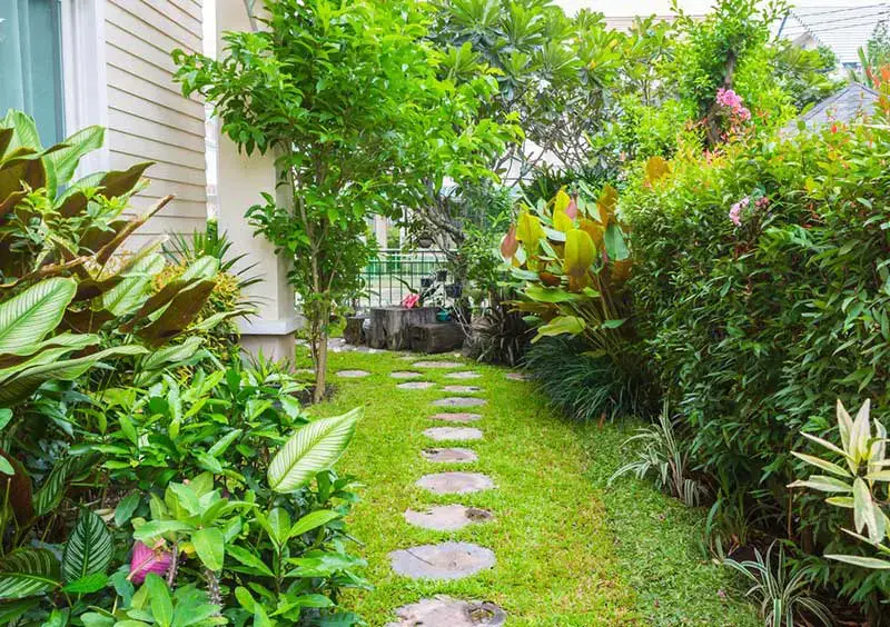 61 idées de jardins super cool dans l'arrière-cour 4 Stone Path