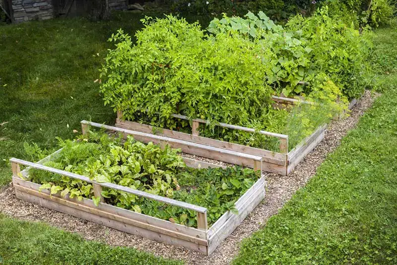 61 idées de jardins super cool dans l'arrière-cour 6 Raised Garden Boxes