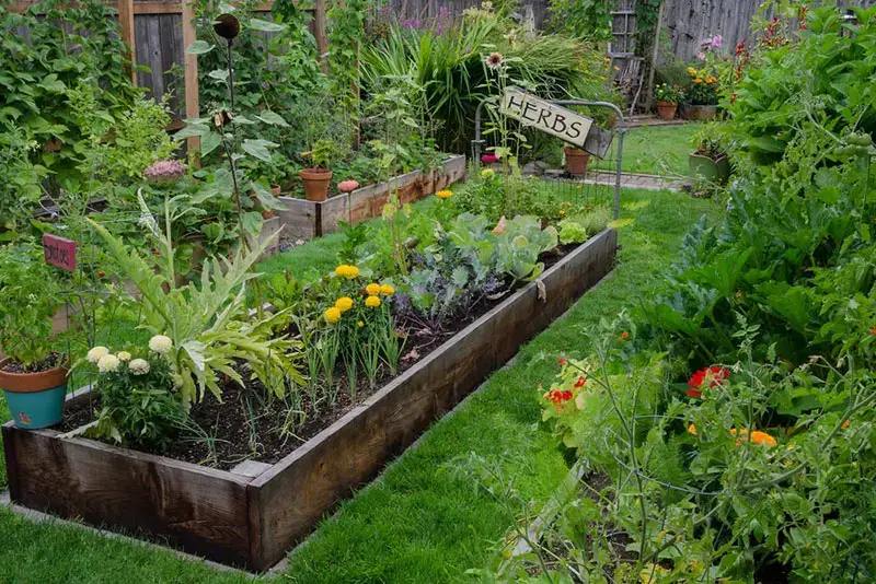 61 idées de jardins super cool dans l'arrière-cour 13 Raised Herb Garden